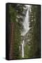 Yosemite Falls, California, Usa-Russ Bishop-Framed Stretched Canvas