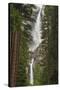 Yosemite Falls, California, Usa-Russ Bishop-Stretched Canvas