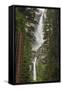 Yosemite Falls, California, Usa-Russ Bishop-Framed Stretched Canvas