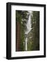 Yosemite Falls, California, Usa-Russ Bishop-Framed Photographic Print