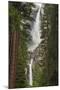 Yosemite Falls, California, Usa-Russ Bishop-Mounted Photographic Print