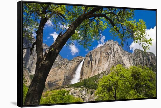 Yosemite Falls, California, Usa-Russ Bishop-Framed Stretched Canvas