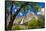 Yosemite Falls, California, Usa-Russ Bishop-Framed Stretched Canvas