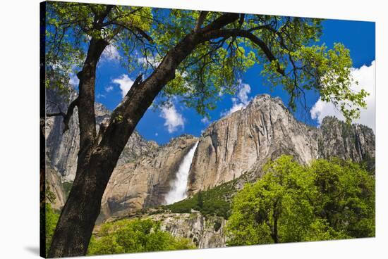 Yosemite Falls, California, Usa-Russ Bishop-Stretched Canvas