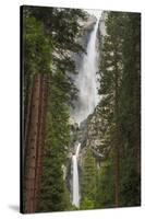 Yosemite Falls, California, Usa-Russ Bishop-Stretched Canvas