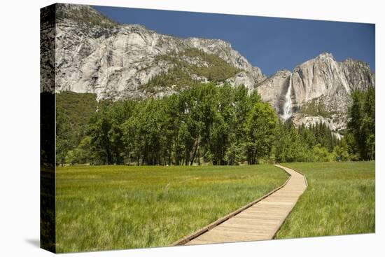 Yosemite Falls in Spring-Richard T Nowitz-Stretched Canvas