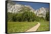 Yosemite Falls in Spring-Richard T Nowitz-Framed Stretched Canvas