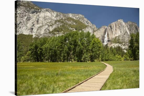 Yosemite Falls in Spring-Richard T Nowitz-Stretched Canvas