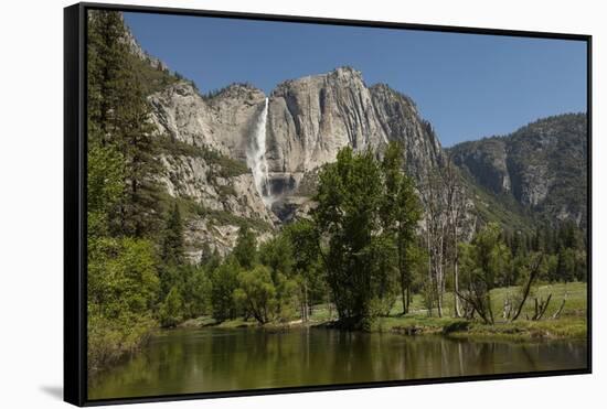 Yosemite Falls in Spring-Richard T Nowitz-Framed Stretched Canvas