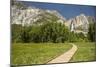 Yosemite Falls in Spring-Richard T Nowitz-Mounted Photographic Print