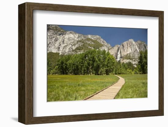 Yosemite Falls in Spring-Richard T Nowitz-Framed Photographic Print
