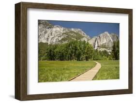 Yosemite Falls in Spring-Richard T Nowitz-Framed Photographic Print