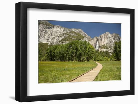 Yosemite Falls in Spring-Richard T Nowitz-Framed Photographic Print