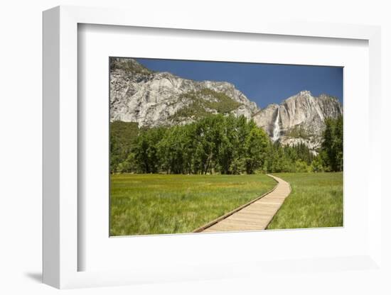 Yosemite Falls in Spring-Richard T Nowitz-Framed Photographic Print