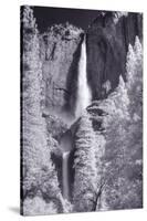 Yosemite Falls Infrared-Vincent James-Stretched Canvas