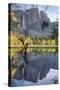 Yosemite Falls Reflection at Swinging Bridge-Vincent James-Stretched Canvas