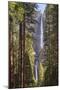 Yosemite Falls through the conifer woodlands of Yosemite Valley, California, USA. Spring (June) 201-Adam Burton-Mounted Photographic Print