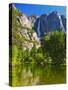 Yosemite Falls With The Merced River-George Oze-Stretched Canvas