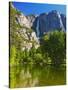 Yosemite Falls With The Merced River-George Oze-Stretched Canvas