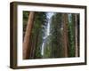 Yosemite Falls, Yosemite National Park, California, Usa-Jamie & Judy Wild-Framed Photographic Print