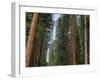 Yosemite Falls, Yosemite National Park, California, Usa-Jamie & Judy Wild-Framed Photographic Print