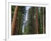 Yosemite Falls, Yosemite National Park, California, Usa-Jamie & Judy Wild-Framed Photographic Print