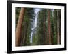 Yosemite Falls, Yosemite National Park, California, Usa-Jamie & Judy Wild-Framed Photographic Print