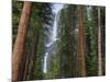 Yosemite Falls, Yosemite National Park, California, Usa-Jamie & Judy Wild-Mounted Photographic Print