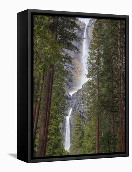 Yosemite Falls, Yosemite National Park, California, Usa-Jamie & Judy Wild-Framed Stretched Canvas