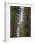 Yosemite Falls, Yosemite National Park, California, Usa-Jamie & Judy Wild-Framed Photographic Print