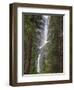 Yosemite Falls, Yosemite National Park, California, Usa-Jamie & Judy Wild-Framed Photographic Print