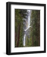 Yosemite Falls, Yosemite National Park, California, Usa-Jamie & Judy Wild-Framed Photographic Print