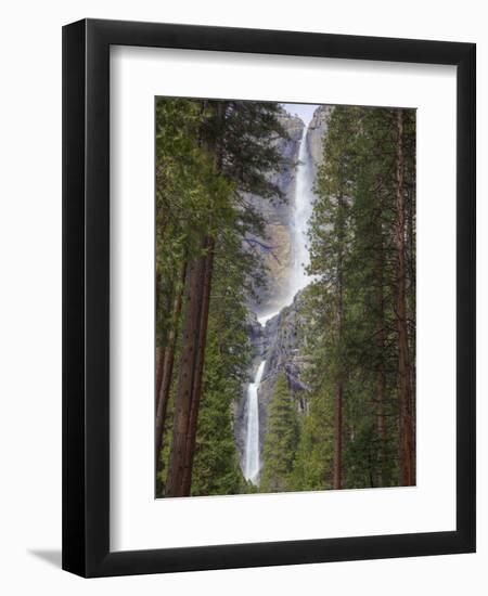 Yosemite Falls, Yosemite National Park, California, Usa-Jamie & Judy Wild-Framed Photographic Print