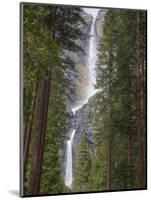 Yosemite Falls, Yosemite National Park, California, Usa-Jamie & Judy Wild-Mounted Photographic Print