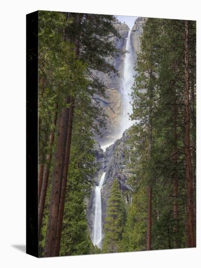 Yosemite Falls, Yosemite National Park, California, Usa-Jamie & Judy Wild-Stretched Canvas