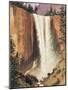 Yosemite Falls-Albert Bierstadt-Mounted Art Print