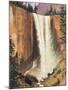 Yosemite Falls-Albert Bierstadt-Mounted Art Print