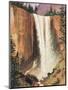 Yosemite Falls-Albert Bierstadt-Mounted Art Print