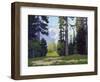 Yosemite Falls-Maurice Braun-Framed Art Print