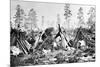 Yosemite Indian Huts, C.1870s-American Photographer-Mounted Photographic Print