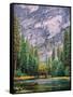 Yosemite Merced River Tall View-Steven Maxx-Framed Stretched Canvas