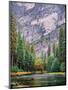 Yosemite Merced River Tall View-Steven Maxx-Mounted Premium Photographic Print