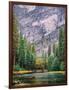 Yosemite Merced River Tall View-Steven Maxx-Framed Photographic Print