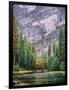 Yosemite Merced River Tall View-Steven Maxx-Framed Photographic Print