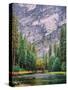 Yosemite Merced River Tall View-Steven Maxx-Stretched Canvas