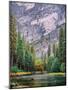 Yosemite Merced River Tall View-Steven Maxx-Mounted Photographic Print