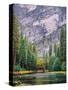 Yosemite Merced River Tall View-Steven Maxx-Stretched Canvas