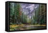 Yosemite Merced River Wide View-Steven Maxx-Framed Stretched Canvas