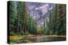 Yosemite Merced River Wide View-Steven Maxx-Stretched Canvas