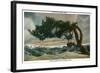 Yosemite Nat'l Park, California - Storm Scarred Pine on Sentinel Dome-Lantern Press-Framed Art Print